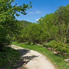 Amazing landscape of Green Hills near village of Fotinovo in Rhodopes Mountain, Pazardzhik region, Bulgaria