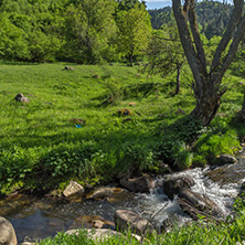 Amazing landscape of Green Hills near village of Fotinovo in Rhodopes Mountain, Pazardzhik region, Bulgaria