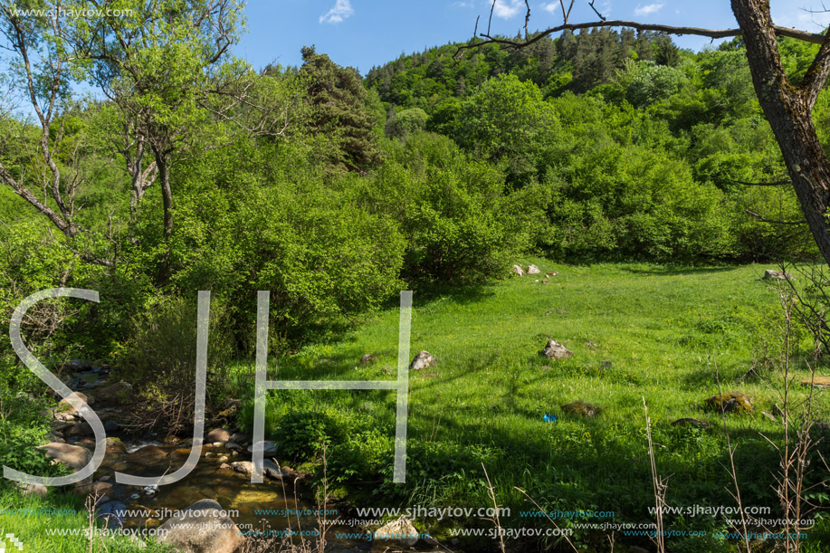 Amazing landscape of Green Hills near village of Fotinovo in Rhodopes Mountain, Pazardzhik region, Bulgaria