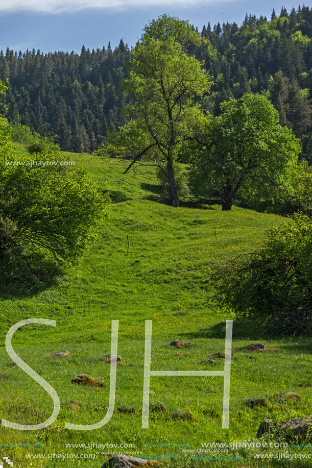 Amazing landscape of Green Hills near village of Fotinovo in Rhodopes Mountain, Pazardzhik region, Bulgaria