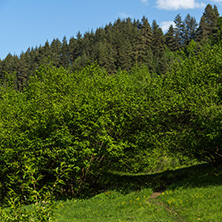 Amazing landscape of Green Hills near village of Fotinovo in Rhodopes Mountain, Pazardzhik region, Bulgaria