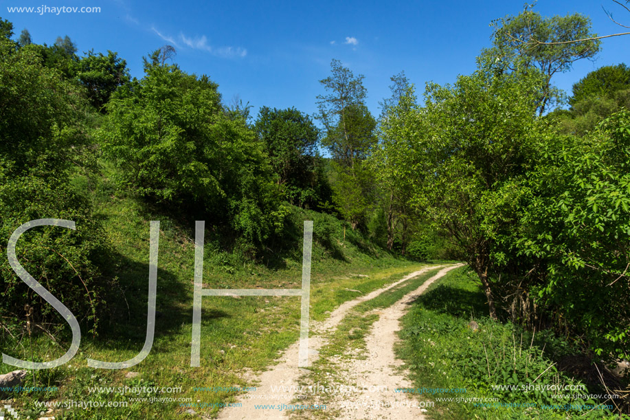 Amazing landscape of Green Hills near village of Fotinovo in Rhodopes Mountain, Pazardzhik region, Bulgaria