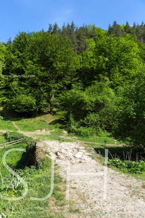 Old Stone bridge over Fotinovo River near village of Fotinovo in Rhodopes Mountain, Pazardzhik region, Bulgaria
