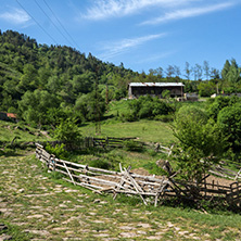 Amazing landscape of Green Hills near village of Fotinovo in Rhodopes Mountain, Pazardzhik region, Bulgaria