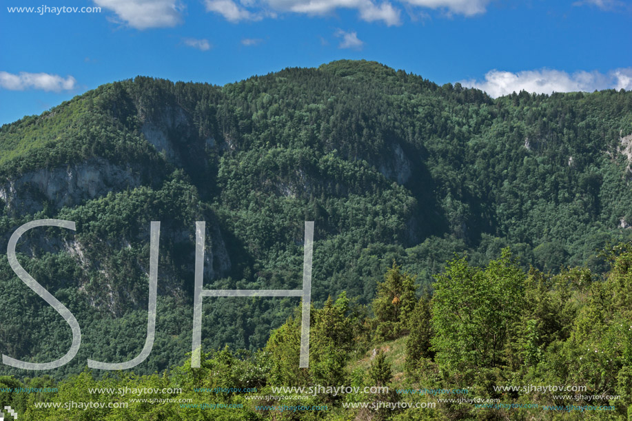 Amazing landscape of Green Hills near Village of Borovo in Rhodope Mountains, Plovdiv region, Bulgaria