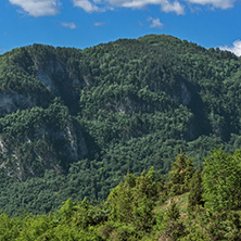 Amazing landscape of Green Hills near Village of Borovo in Rhodope Mountains, Plovdiv region, Bulgaria