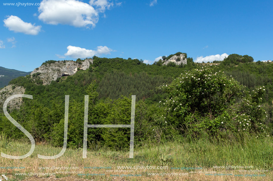 Amazing landscape of Green Hills near Village of Borovo in Rhodope Mountains, Plovdiv region, Bulgaria