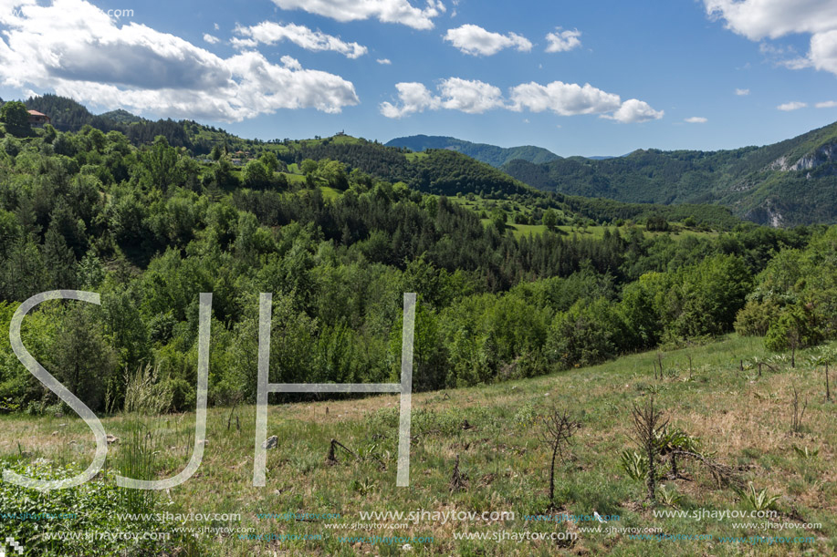 Amazing landscape of Green Hills near Village of Borovo in Rhodope Mountains, Plovdiv region, Bulgaria