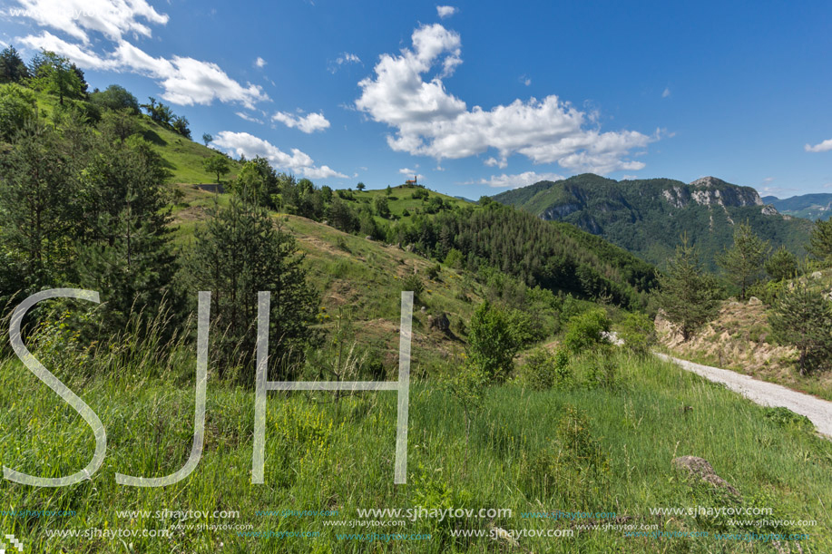 Amazing landscape of Green Hills near Village of Borovo in Rhodope Mountains, Plovdiv region, Bulgaria