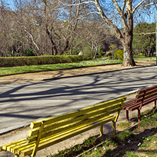 SANDANSKI, BULGARIA - APRIL 4, 2018: Spring view of Park St. Vrach in town of Sandanski, Bulgaria