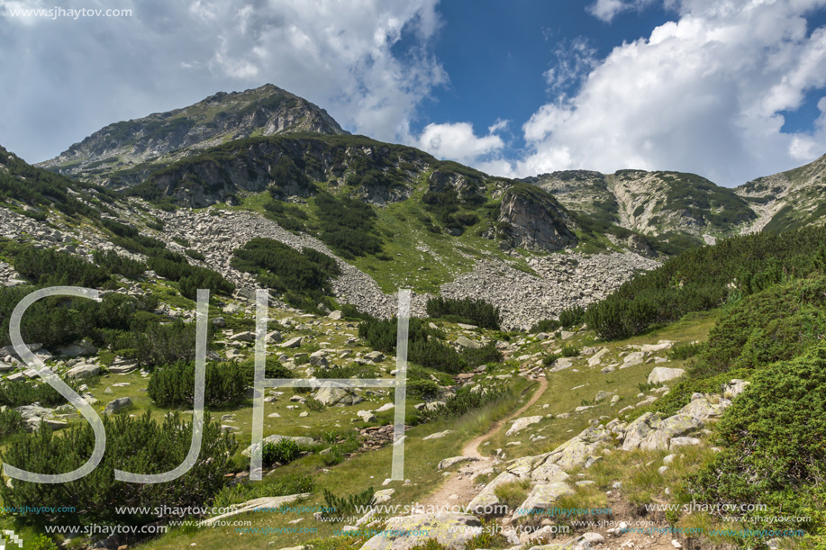 Landscape with Banderitsa River Valley, Pirin Mountain, Bulgaria