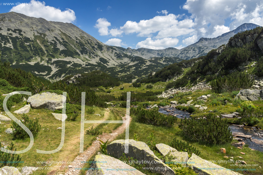 Landscape with Banderitsa River Valley, Pirin Mountain, Bulgaria