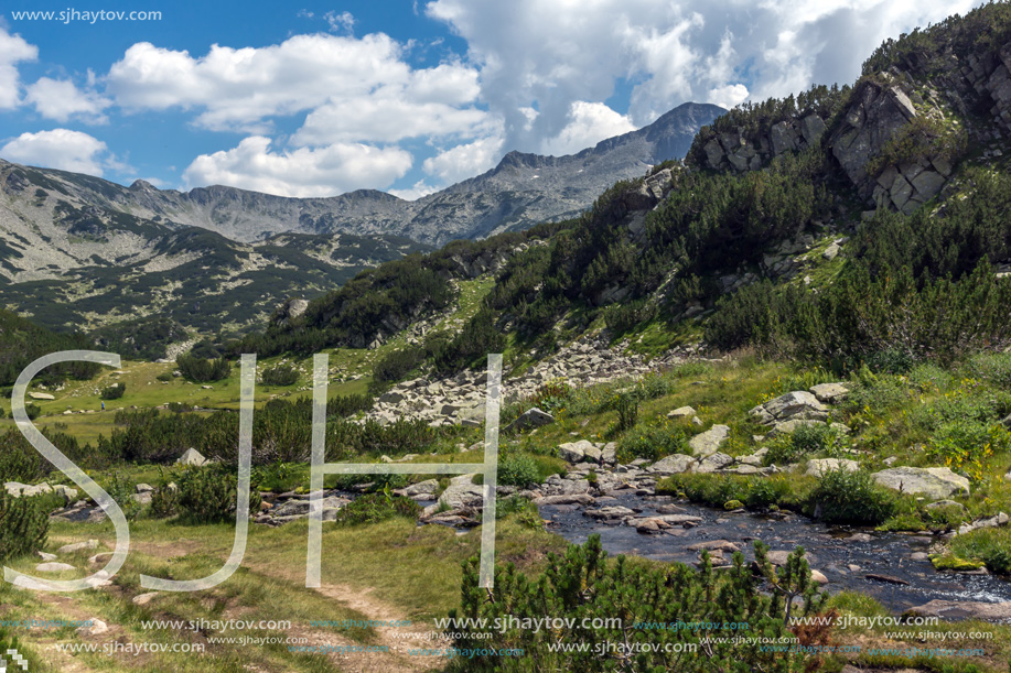 Landscape with Banderitsa River Valley, Pirin Mountain, Bulgaria