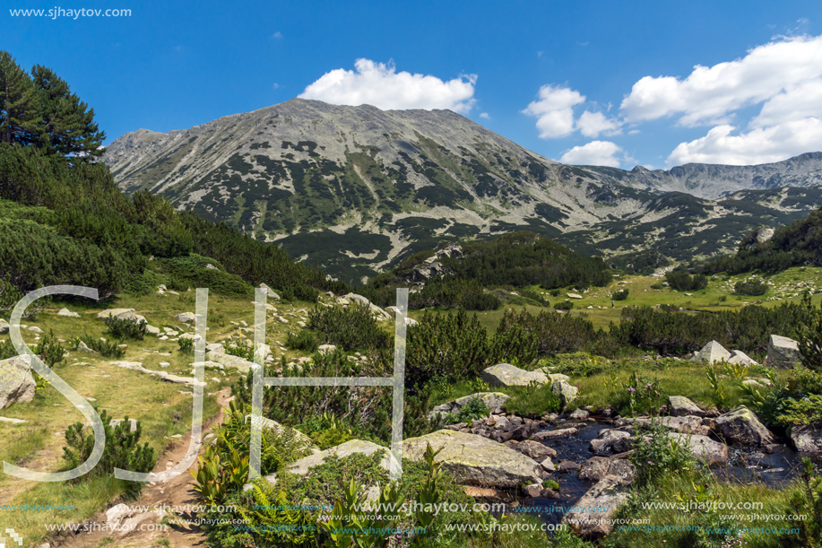 Landscape with Banderitsa River Valley, Pirin Mountain, Bulgaria