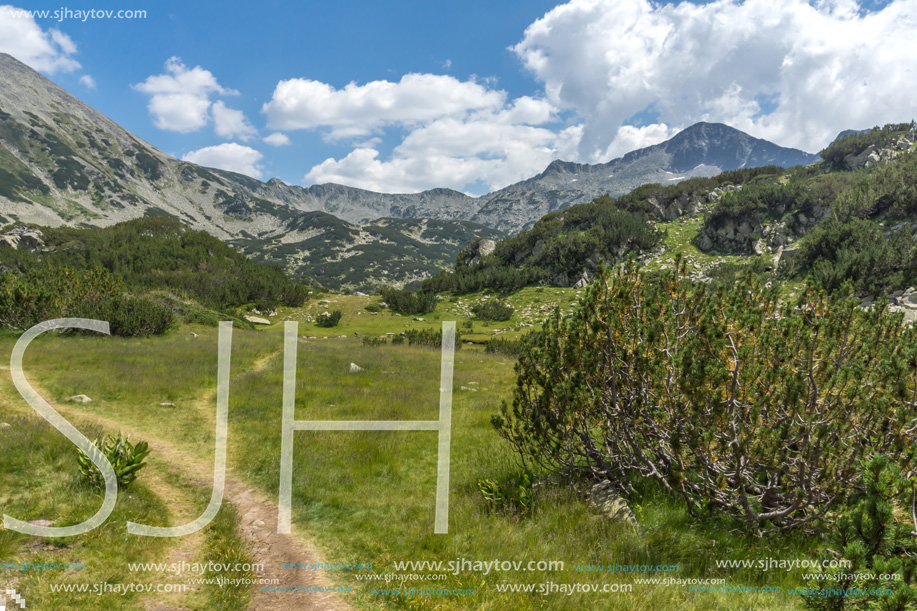 Landscape with Banderitsa River Valley, Pirin Mountain, Bulgaria