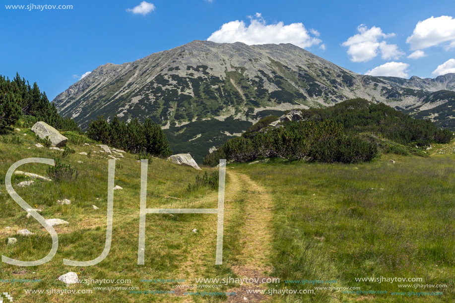 Landscape with Banderitsa River Valley, Pirin Mountain, Bulgaria