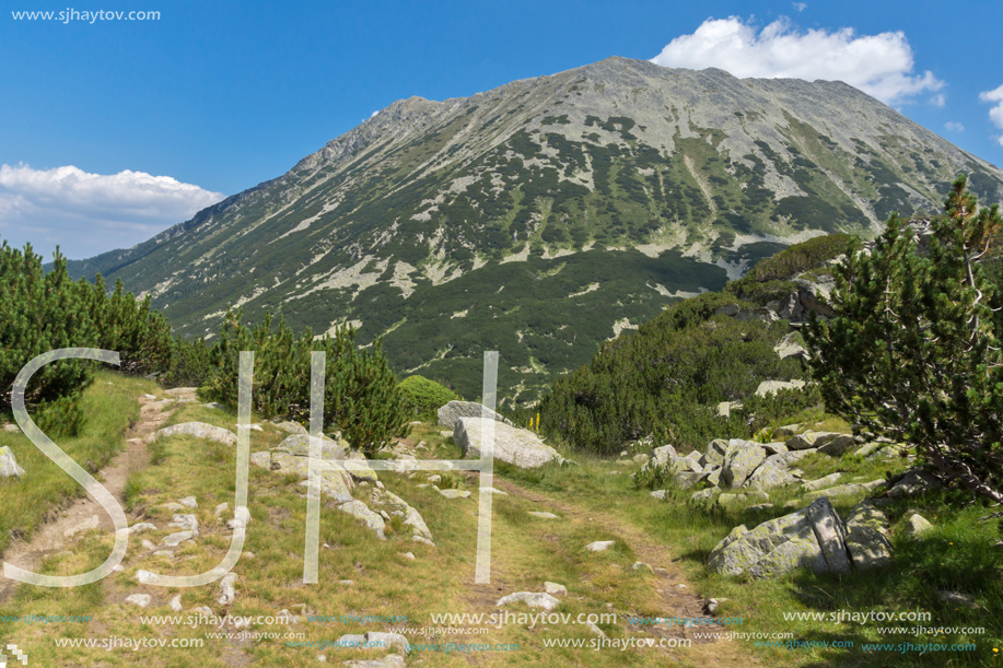 Landscape with Banderitsa River Valley, Pirin Mountain, Bulgaria