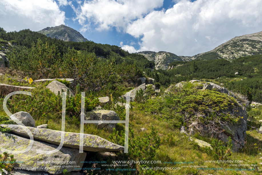 Landscape with Banderitsa River Valley, Pirin Mountain, Bulgaria