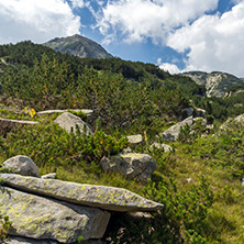 Landscape with Banderitsa River Valley, Pirin Mountain, Bulgaria