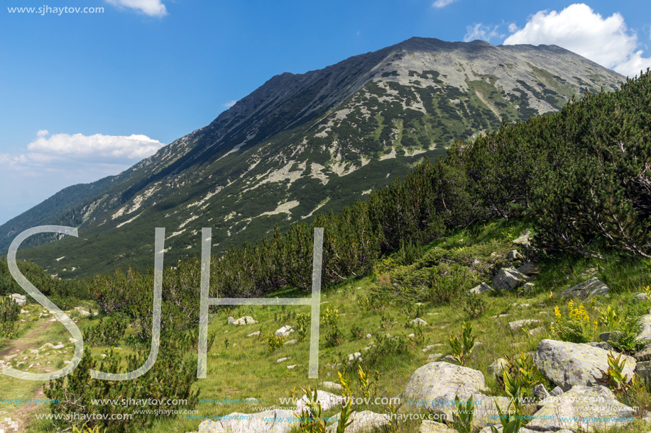 Landscape with Banderitsa River Valley, Pirin Mountain, Bulgaria