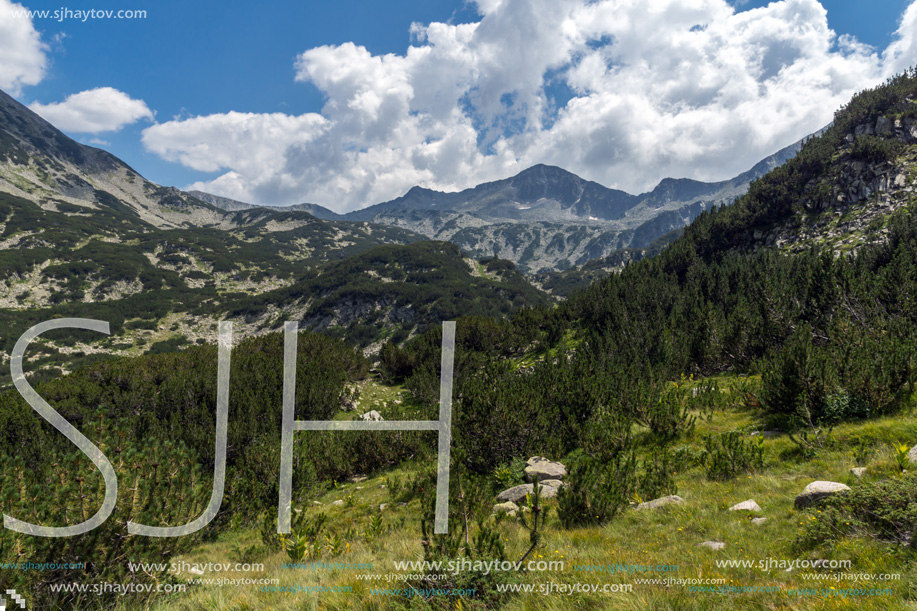 Landscape with Banderitsa River Valley, Pirin Mountain, Bulgaria