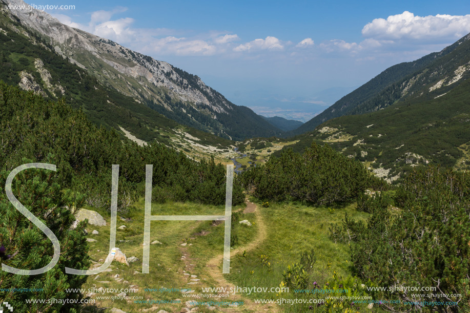 Landscape with Banderitsa River Valley, Pirin Mountain, Bulgaria