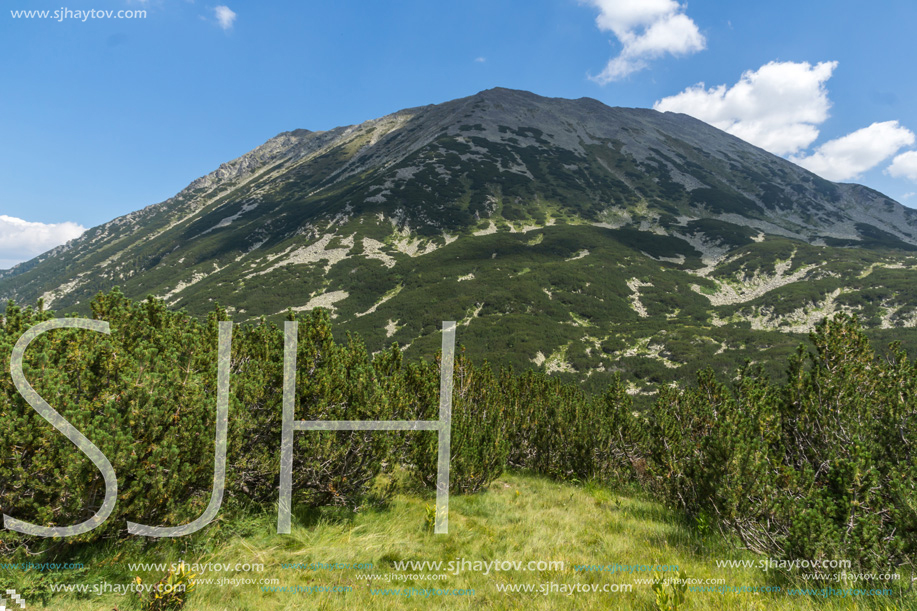 Landscape with Banderitsa River Valley, Pirin Mountain, Bulgaria