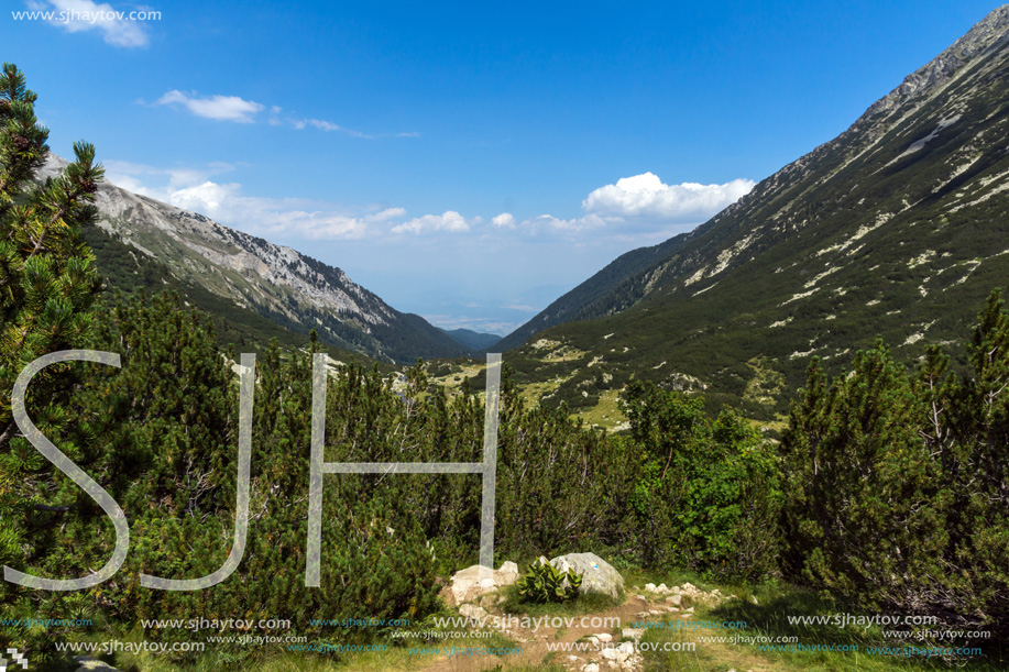 Landscape with Banderitsa River Valley, Pirin Mountain, Bulgaria