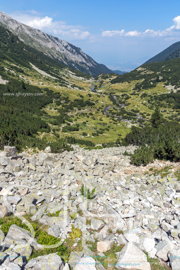 Landscape with Banderitsa River Valley, Pirin Mountain, Bulgaria