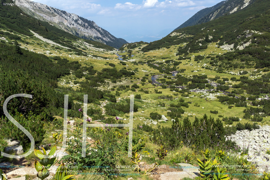 Landscape with Banderitsa River Valley, Pirin Mountain, Bulgaria