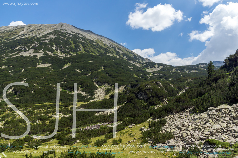 Landscape with Banderitsa River Valley, Pirin Mountain, Bulgaria