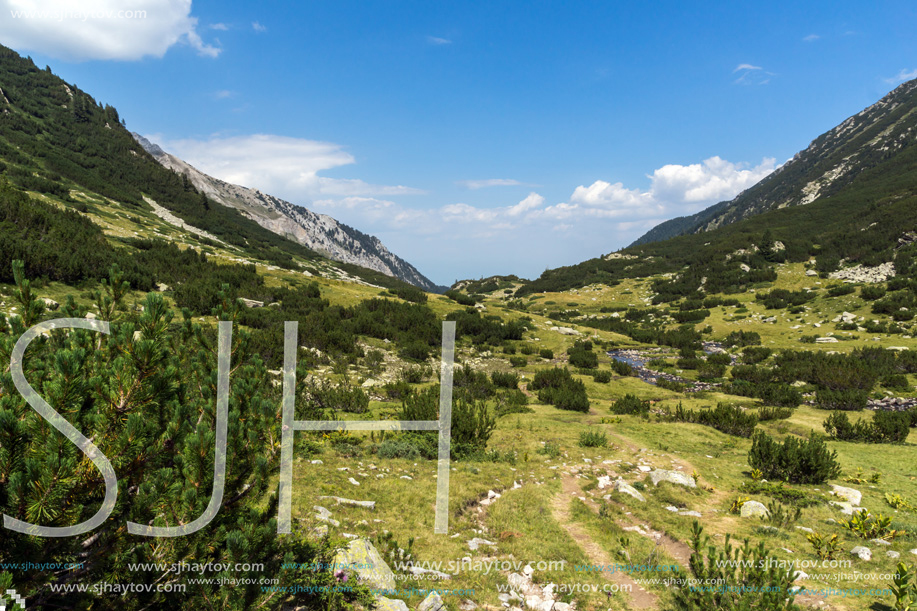 Landscape with Banderitsa River Valley, Pirin Mountain, Bulgaria