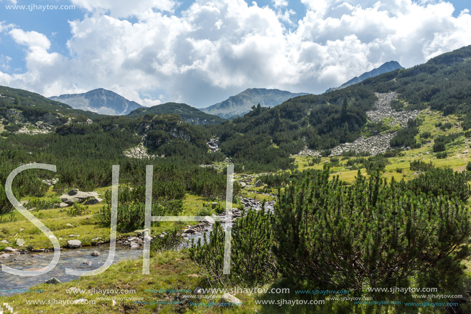 Landscape with Banderitsa River Valley, Pirin Mountain, Bulgaria