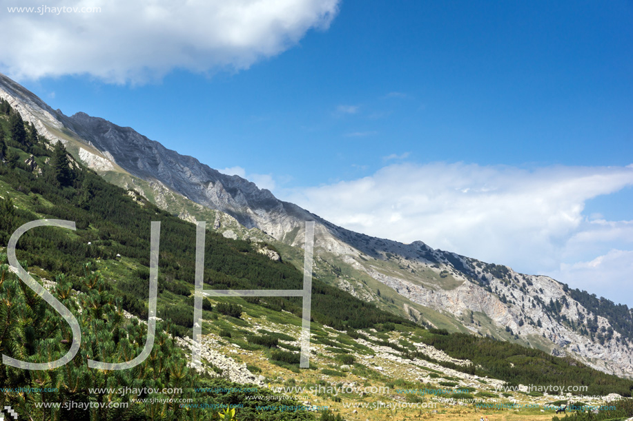 Landscape with Banderitsa River Valley, Pirin Mountain, Bulgaria