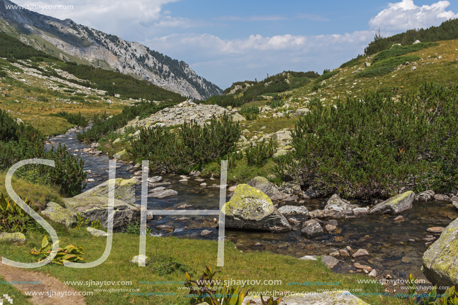 Landscape with Banderitsa River Valley, Pirin Mountain, Bulgaria