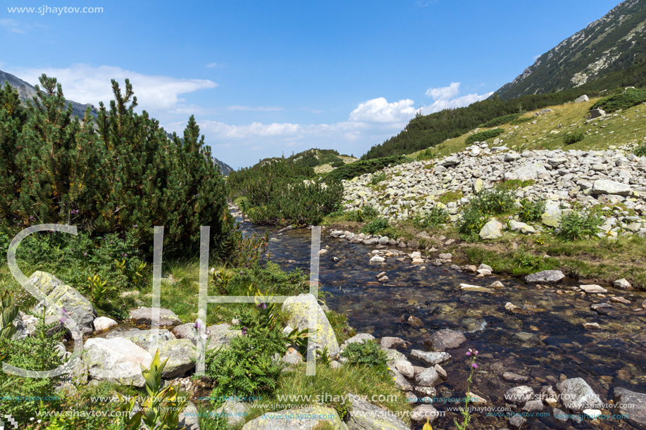 Landscape with Banderitsa River Valley, Pirin Mountain, Bulgaria