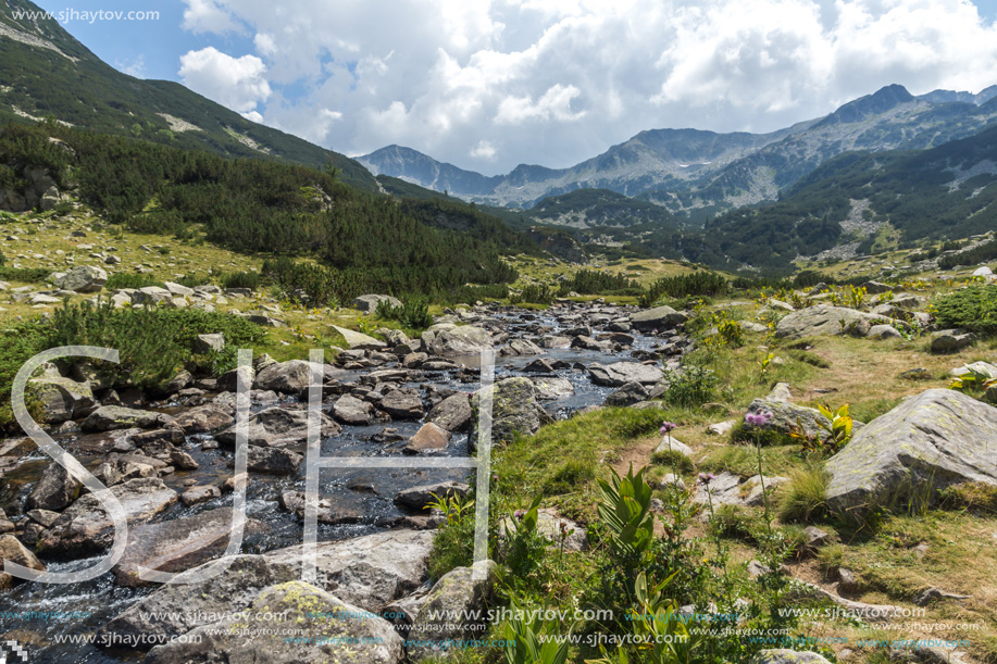 Landscape with Banderitsa River Valley, Pirin Mountain, Bulgaria