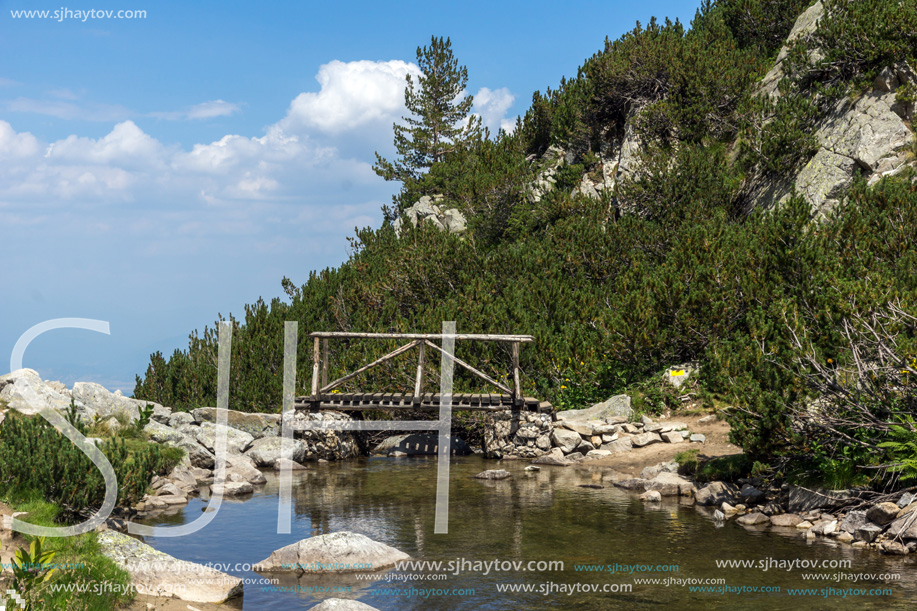 Landscape with wooden bridge over Banderitsa River, Pirin Mountain, Bulgaria