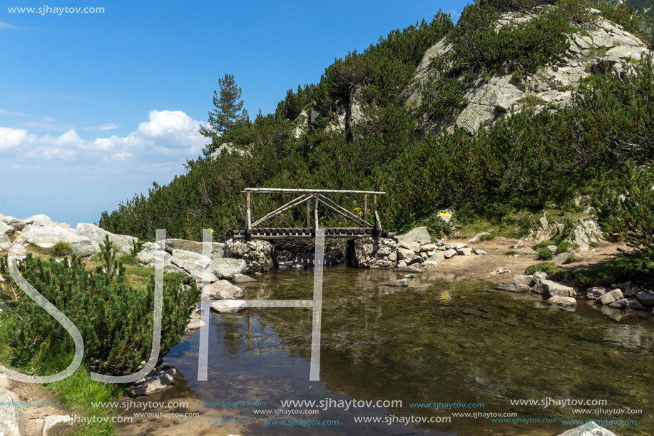 Landscape with wooden bridge over Banderitsa River, Pirin Mountain, Bulgaria