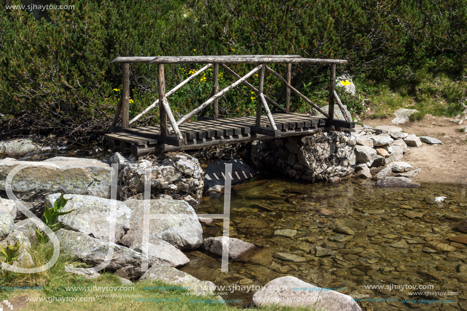 Landscape with wooden bridge over Banderitsa River, Pirin Mountain, Bulgaria