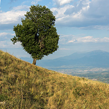 Sunset Landscape of Ograzhden Mountain, Blagoevgrad Region, Bulgaria