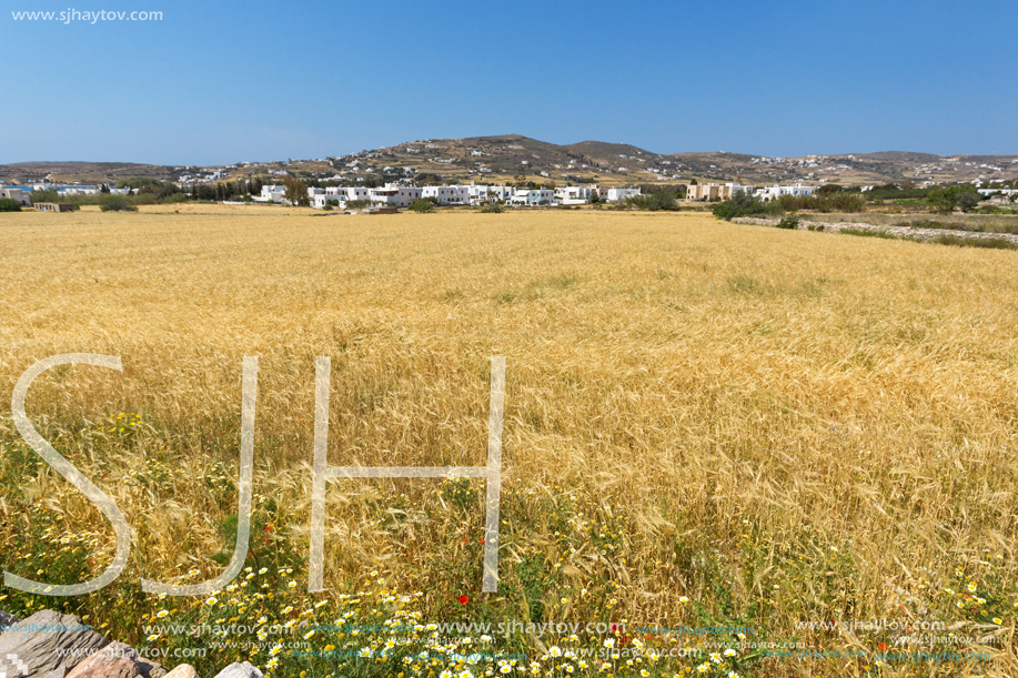 Typical Rural landscape near town of Parakia, Paros island, Cyclades, Greece