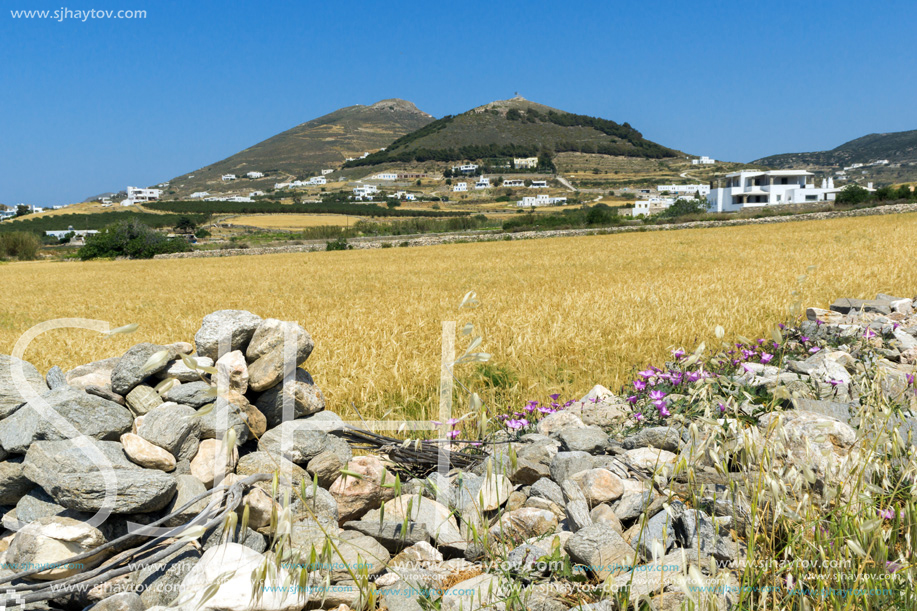 Typical Rural landscape near town of Parakia, Paros island, Cyclades, Greece