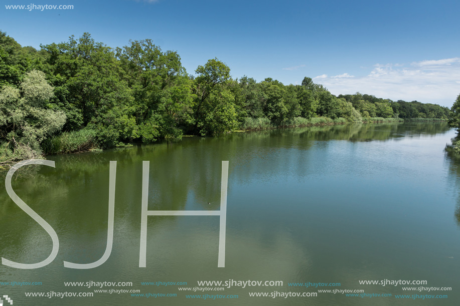 Landscape with green forest around Veleka Rvier, Burgas Region, Bulgaria