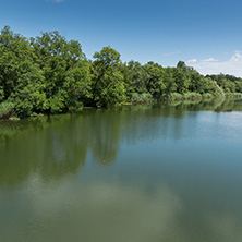 Landscape with green forest around Veleka Rvier, Burgas Region, Bulgaria