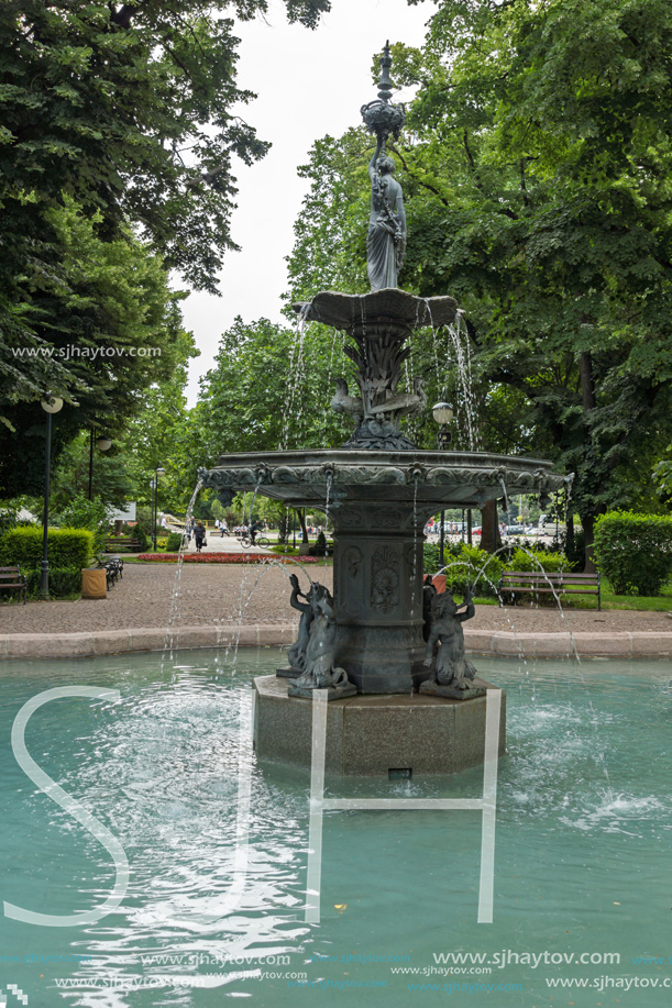 PLOVDIV, BULGARIA - MAY 25, 2018:  Trees at Tsar Simeon Garden in City of Plovdiv, Bulgaria