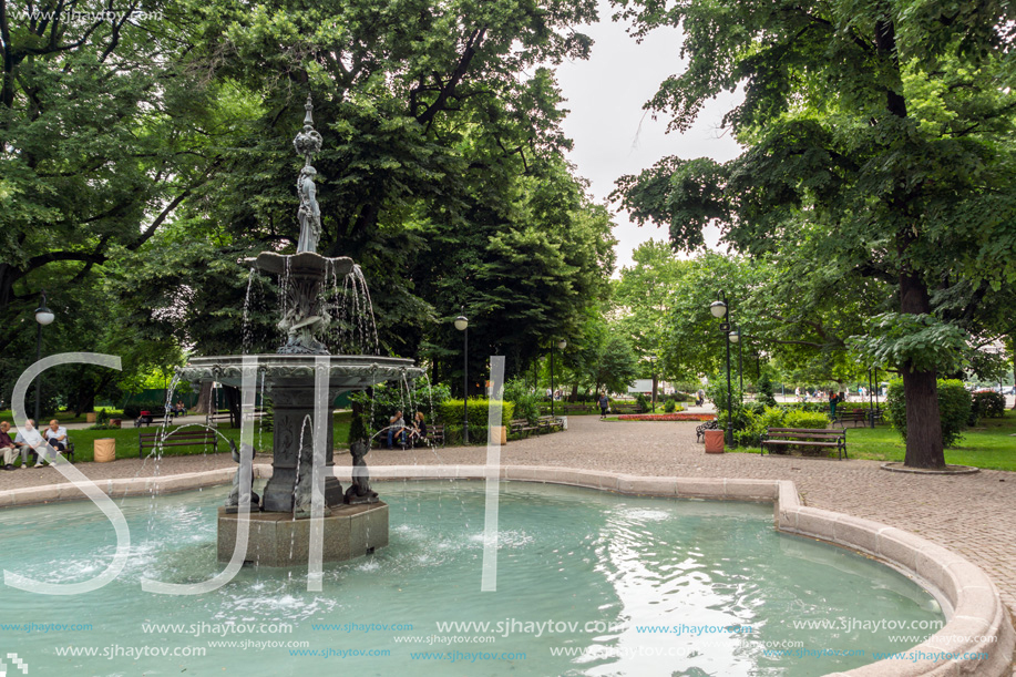 PLOVDIV, BULGARIA - MAY 25, 2018:  Trees at Tsar Simeon Garden in City of Plovdiv, Bulgaria