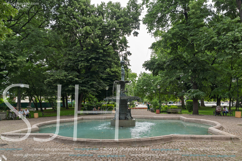 PLOVDIV, BULGARIA - MAY 25, 2018:  Trees at Tsar Simeon Garden in City of Plovdiv, Bulgaria