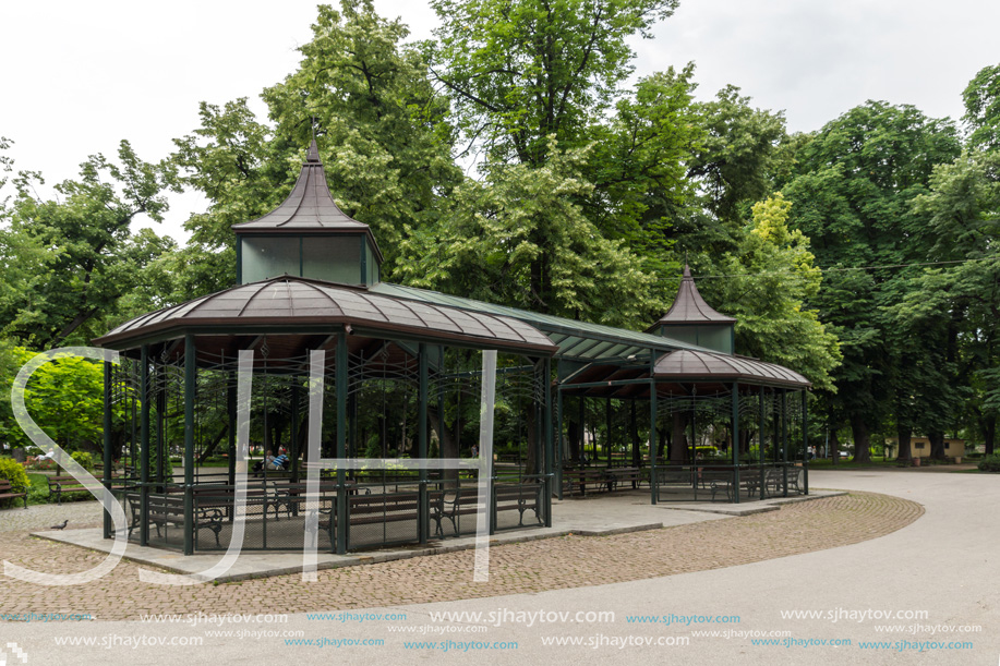PLOVDIV, BULGARIA - MAY 25, 2018:  Trees at Tsar Simeon Garden in City of Plovdiv, Bulgaria