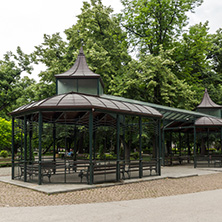 PLOVDIV, BULGARIA - MAY 25, 2018:  Trees at Tsar Simeon Garden in City of Plovdiv, Bulgaria